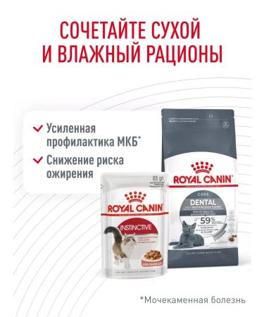 ROYAL CANIN Dry food for cat Care 400 g - Buy Online on GoSupps.com