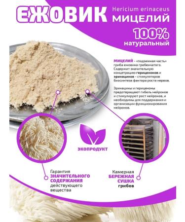 CHAGA FOOD Ezhovik Micronized in capsules of 550 mg - Buy Online on GoSupps.com