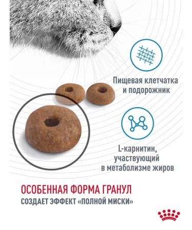 ROYAL CANIN Feed for the prevention of excess weight of cats 400 g - Buy Online on GoSupps.com