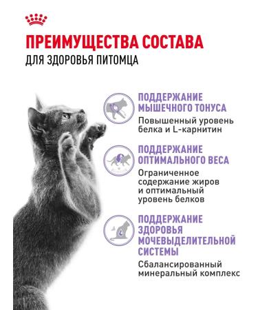 ROYAL CANIN Dry food for sterilized cats Sterilized 37 400 g - Buy Online on GoSupps.com