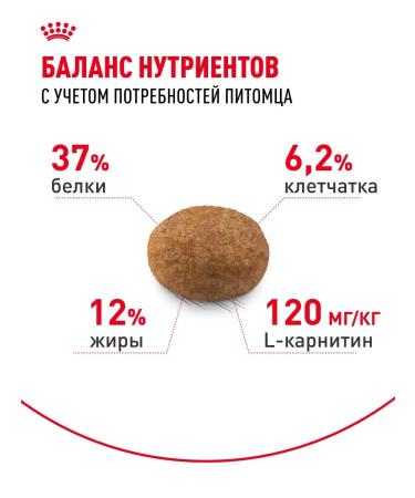 ROYAL CANIN Dry food for sterilized cats Sterilized 37 400 g - Buy Online on GoSupps.com