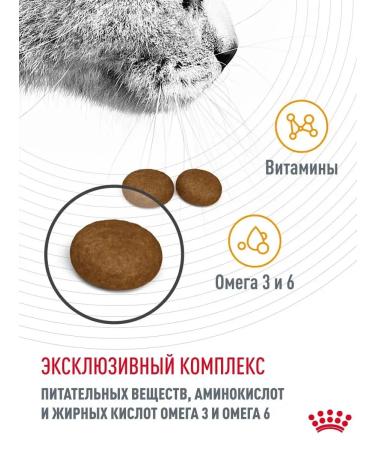 ROYAL CANIN Dry food for cats for the health of wool and skin 400 g - Buy Online on GoSupps.com