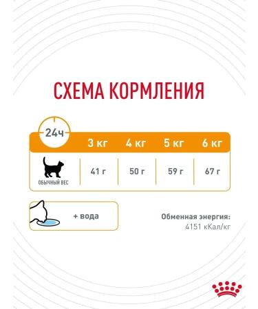 ROYAL CANIN Dry food for cats for the health of wool and skin 400 g - Buy Online on GoSupps.com