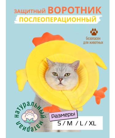 HypePet Collar for cats and dogs protective veterinary "chicken"