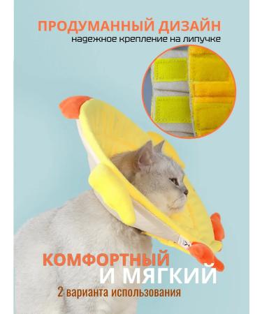 HypePet Collar for cats and dogs protective veterinary "chicken" - Buy Online on GoSupps.com