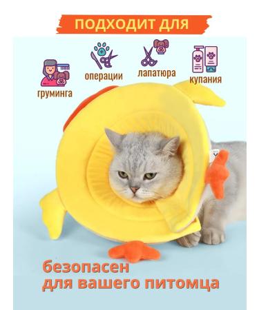 HypePet Collar for cats and dogs protective veterinary "chicken" - Buy Online on GoSupps.com