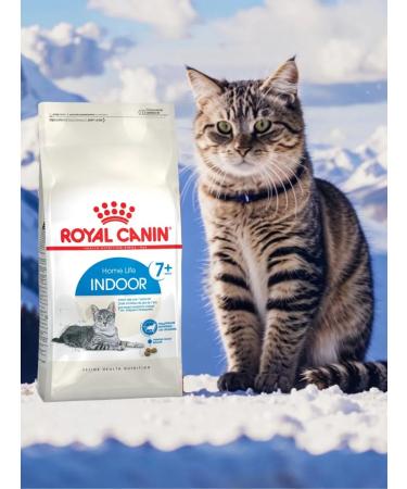 ROYAL CANIN Dry food Indoor 7+ for elderly cats living at home 1.5 kg - Buy Online on GoSupps.com