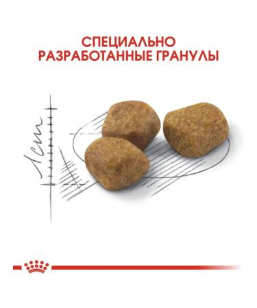 ROYAL CANIN Dry food Indoor 7+ for elderly cats living at home 1.5 kg - Buy Online on GoSupps.com