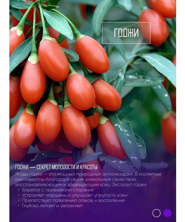 Sashel Cometa cosmetic cosmetic cream for eyelids and lips - Buy Online on GoSupps.com