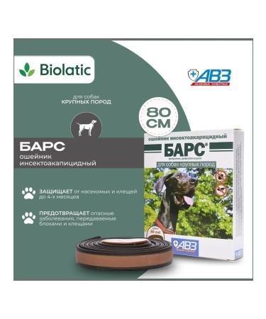 AVZ Bars collar for large dogs 80 cm