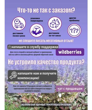 CHAGA FOOD Ezhovik Chanbone mycelium micronized in capsules - Buy Online on GoSupps.com