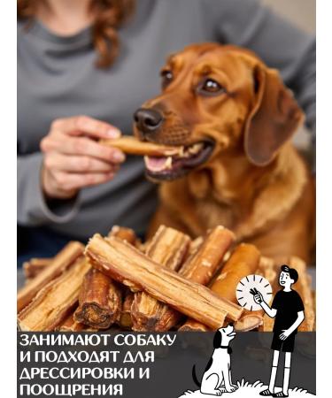 FOR RODENT DOG Dog treats for dogs in a context of 10 cm 1000 g - Buy Online on GoSupps.com