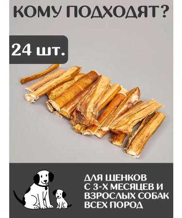 FOR RODENT DOG Dog treats for dogs in a context of 10 cm 300 g - Buy Online on GoSupps.com