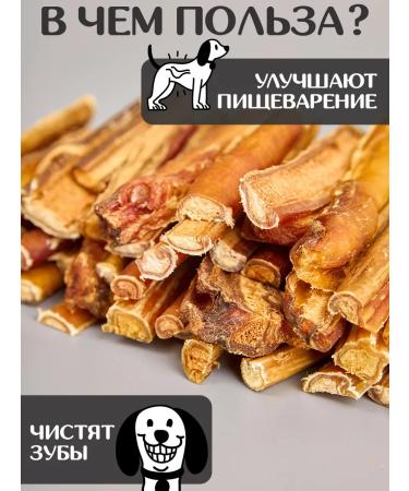 FOR RODENT DOG Dog treats for dogs in a context of 10 cm 300 g - Buy Online on GoSupps.com
