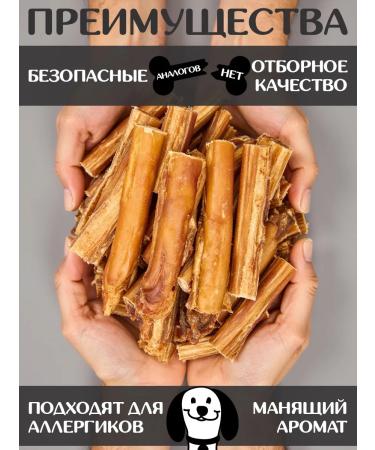 FOR RODENT DOG Dog treats bull root in the context of 10 cm 100 g - Buy Online on GoSupps.com