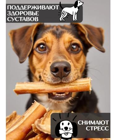 FOR RODENT DOG Dog treats bull root in the context of 10 cm 100 g - Buy Online on GoSupps.com