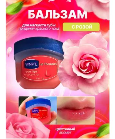 stil cosmetics Lip balm - Buy Online on GoSupps.com