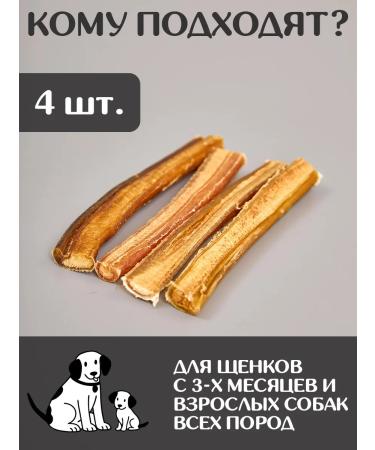 FOR RODENT DOG Dog treats for dogs in conjure 10 cm 50 g - Buy Online on GoSupps.com