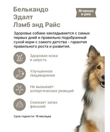 Dog food dry Belcando 12.5 kg - Buy Online on GoSupps.com