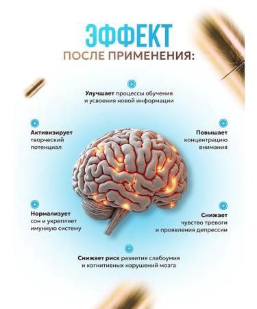 Mushroom Culture Ezhovik Channel Mycelium Capsules 120 pcs 500 mg - Buy Online on GoSupps.com