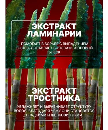 Kurmanaeva AK Shampoo and hair air conditioner 500 ml - Buy Online on GoSupps.com