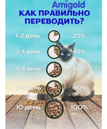 AmiGold Feed for sterilized cats dry 1.5 kg fish - Buy Online on GoSupps.com