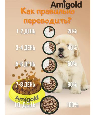 AmiGold Dry food for large species of 5 kg turkey - Buy Online on GoSupps.com