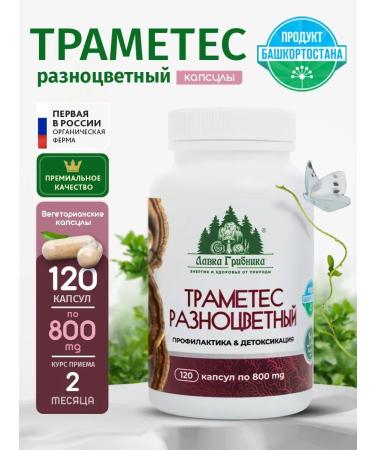 Mushroom Picker's Shop Trames mushroom energy and health in capsules 120 pcs 800 mg