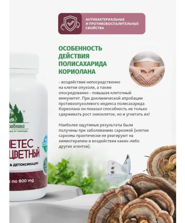 Mushroom Picker's Shop Trames mushroom energy and health in capsules 120 pcs 800 mg - Buy Online on GoSupps.com