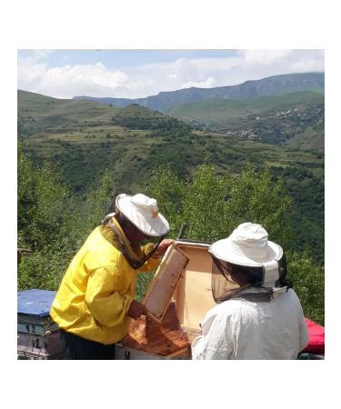 MURISI Natural honey 2024 Dagestan mountain honey healing - Buy Online on GoSupps.com