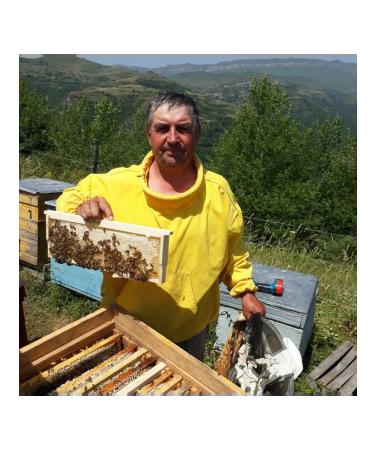 MURISI Natural honey 2024 Dagestan mountain honey healing - Buy Online on GoSupps.com