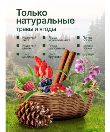 TAIGA REGION Ivan Teyzhny Tea - Buy Online on GoSupps.com