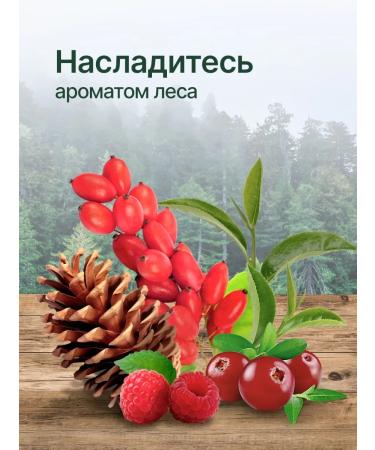 TAIGA REGION Ivan Teyzhny Tea - Buy Online on GoSupps.com