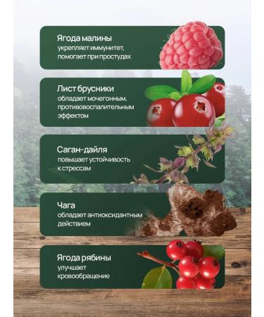 TAIGA REGION Ivan Tea Shaman - Buy Online on GoSupps.com