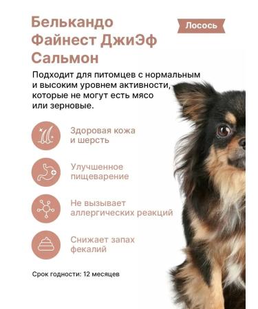 Dog food dry Belcando salmon 4 kg - Buy Online on GoSupps.com