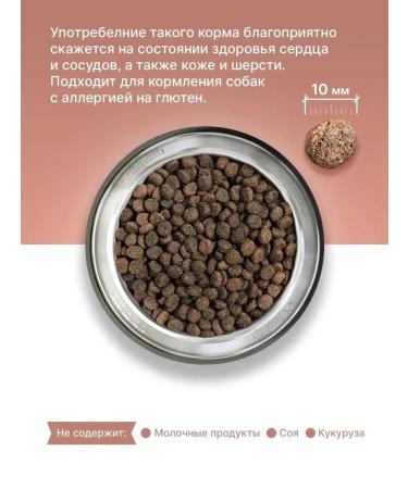 Dog food dry Belcando salmon 4 kg - Buy Online on GoSupps.com