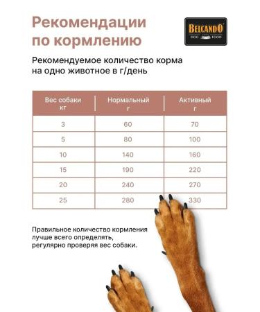 Dog food dry Belcando salmon 4 kg - Buy Online on GoSupps.com