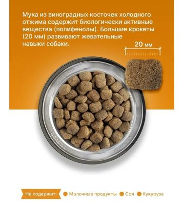 Dry food for dogs Belcando 12.5 kg - Buy Online on GoSupps.com