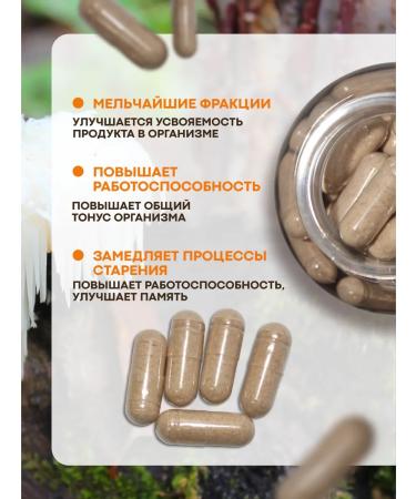 VirorDea Grebsheyee heever (Lions Mane) 240 capsules of 700 mg - Buy Online on GoSupps.com