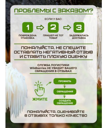 VirorDea Grebsheyee heever (Lions Mane) 240 capsules of 700 mg - Buy Online on GoSupps.com