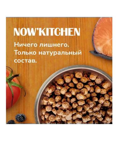 NOW'KITCHEN Dry food for cats trout salmon 1.36 kg - Buy Online on GoSupps.com