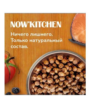 NOW'KITCHEN Dry feed for dogs of small breeds trout 5.44 kg 2 pcs - Buy Online on GoSupps.com