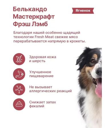 Dog food dry Belcando Mastercraft beef 10 kg - Buy Online on GoSupps.com