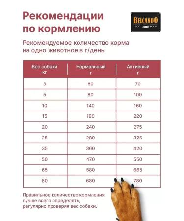 Dog food dry Belcando Mastercraft beef 10 kg - Buy Online on GoSupps.com