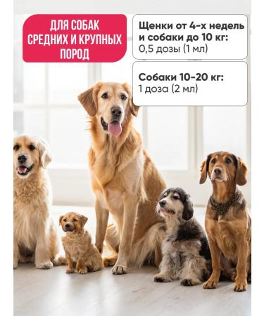 GOOD DOG & CAT Drops for dogs from ticks fleas and belly -eaters 3 pcs - Buy Online on GoSupps.com