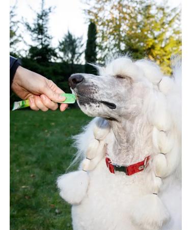 Japan Premium Pet Cream for dogs Assorted 4Up - Buy Online on GoSupps.com