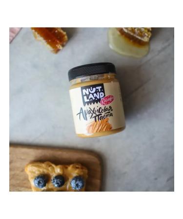 Nut Land Cream arachical paste without sugar 240 grams - Buy Online on GoSupps.com