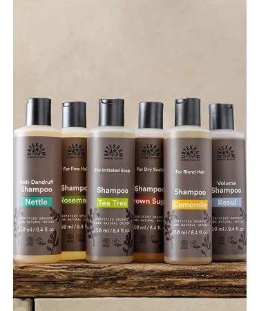 Urtekram Shampoo for oily hair with volcanic clay reason 250ml - Buy Online on GoSupps.com