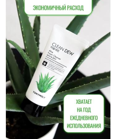 Tony Moly Aloe washing foam - Buy Online on GoSupps.com