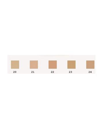 EVELINE Celebrities Beauty matting powder tone 20 - Buy Online on GoSupps.com